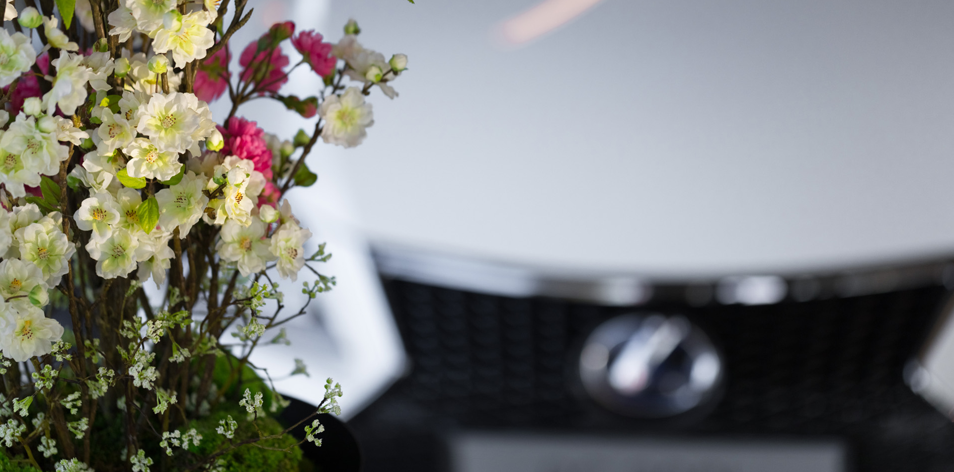 Rechercher - lexus